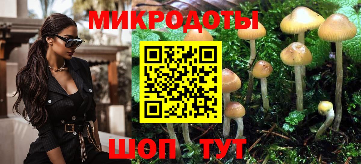 Псилоцибиновые грибы GOLDEN TEACHER Новочеркасск