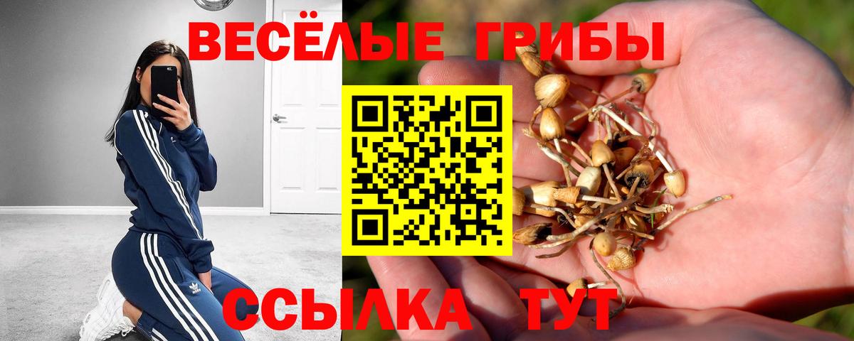 Псилоцибиновые грибы мицелий  Вход с VPN  Новочеркасск 